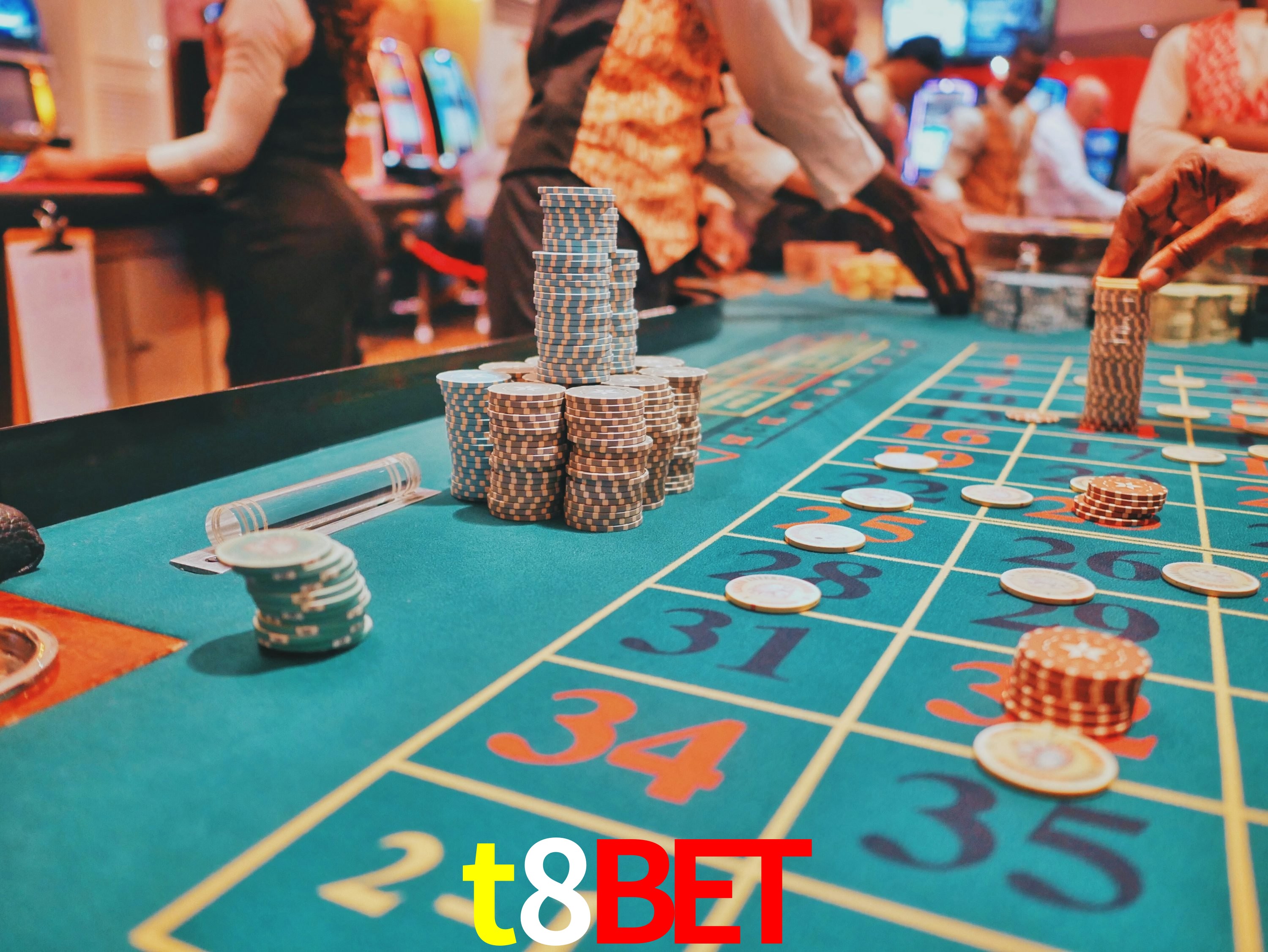 Avaliações dos Jogadores t8bet